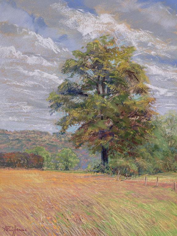 Arbre isolé dans la campagne, tableau d'Aurore Puifferrat, peintre pastelliste