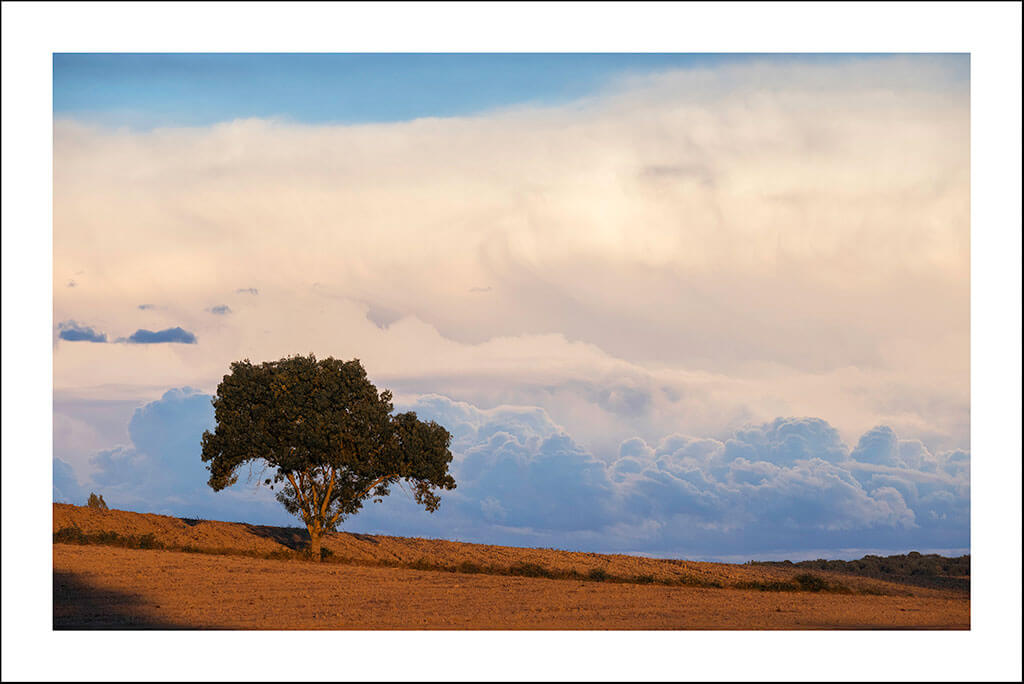 Cartes postales "Au vert" – Image 7