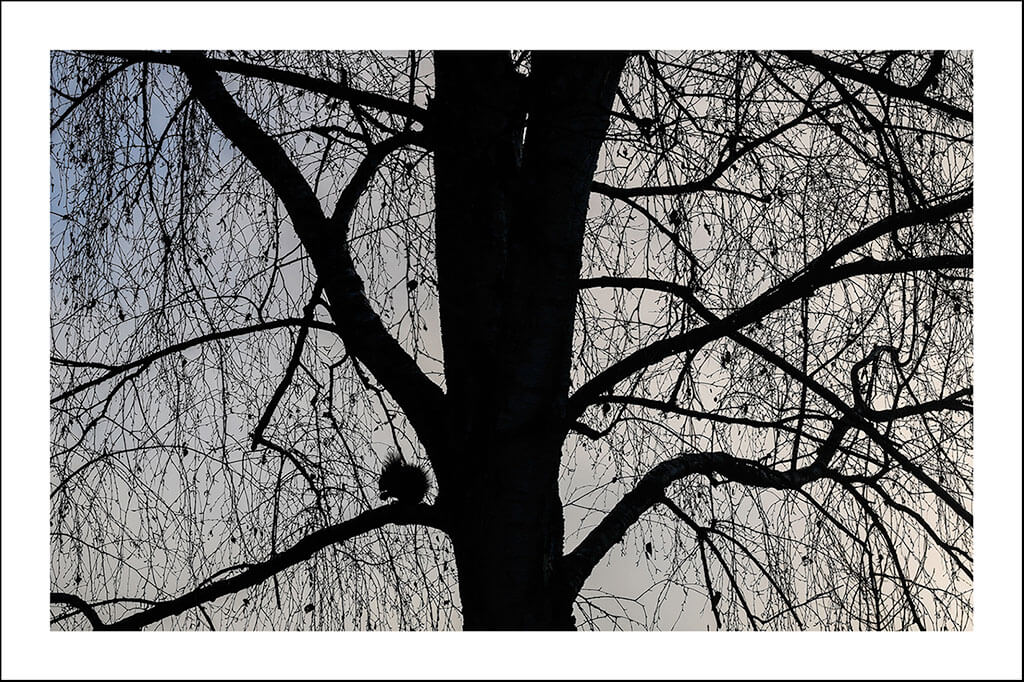 Cartes postales "Bouts d'nature" – Image 2