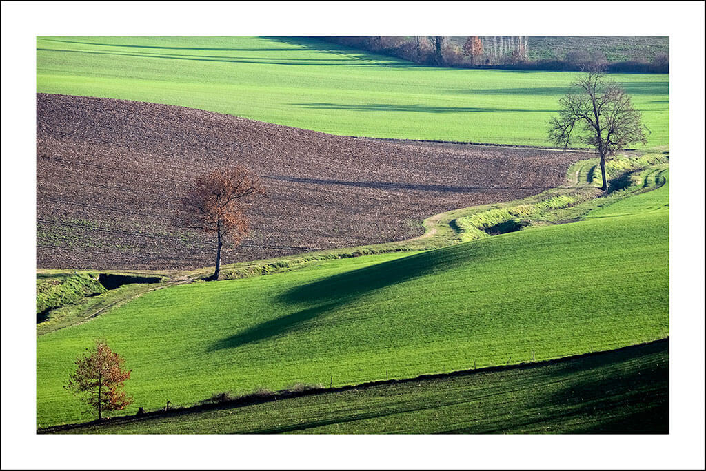 Cartes postales "Au vert" – Image 6