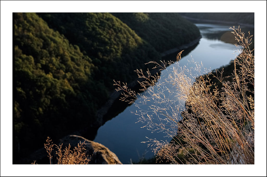 Cartes postales "Au vert" – Image 5
