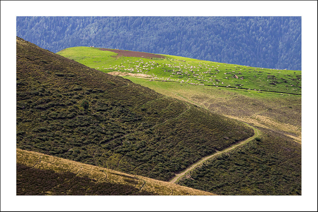 Cartes postales "Là-haut" – Image 2