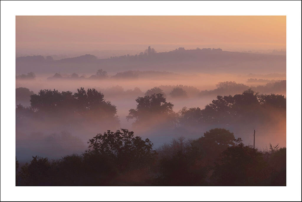 Cartes postales "Au vert" – Image 4