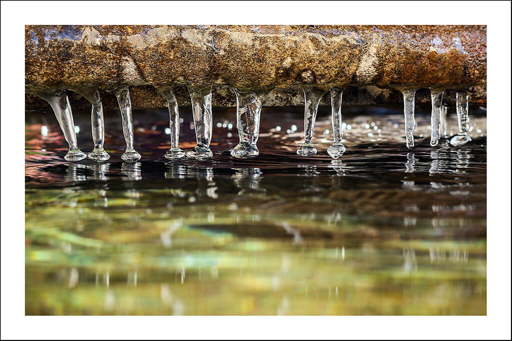 Cartes postales "Bouts d'nature" – Image 4