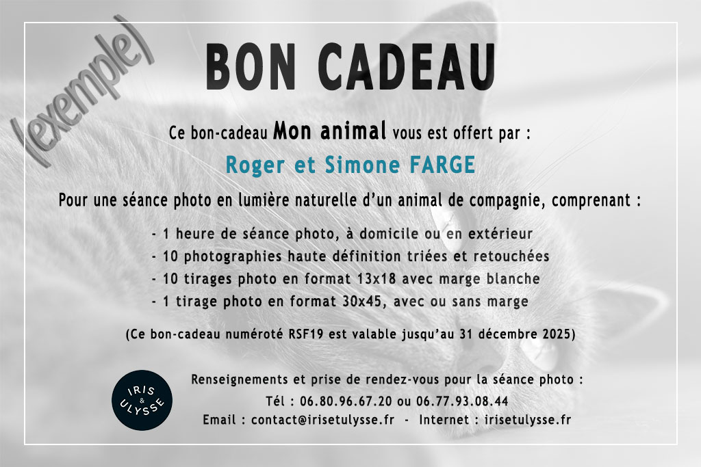 Séance photo "Mon animal" – Image 2