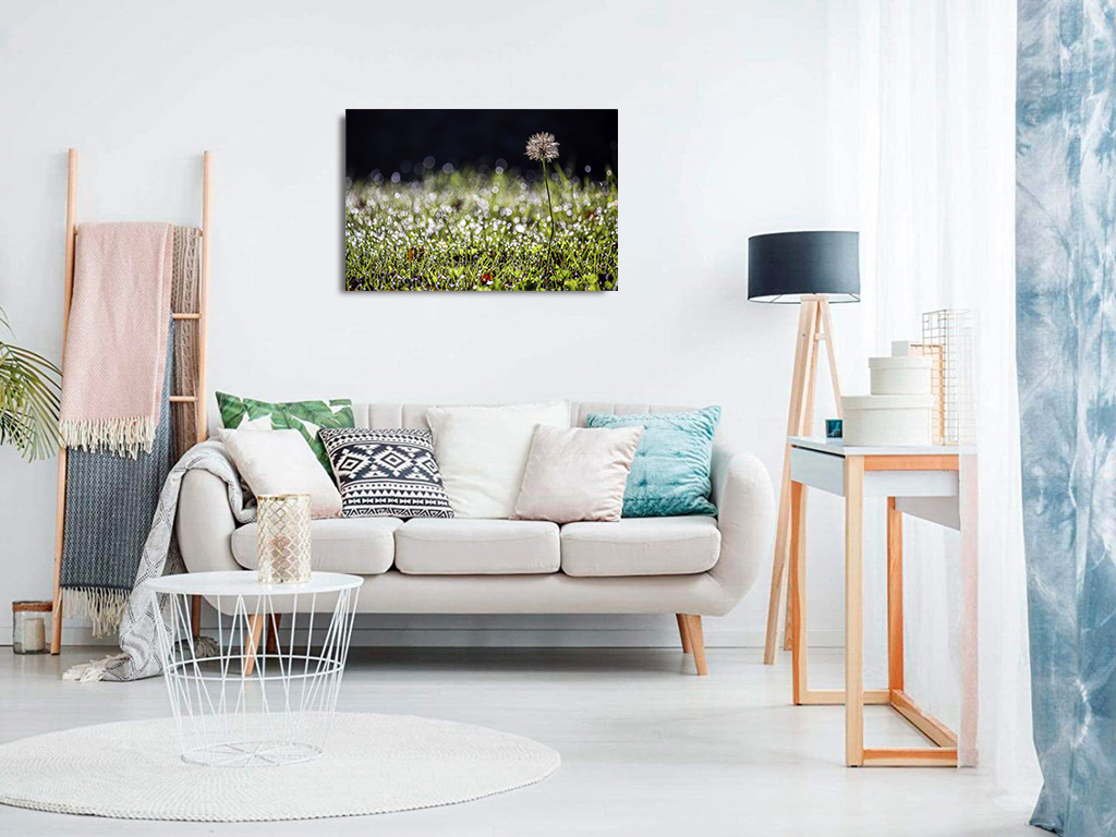 Au saut du lit – Image 8