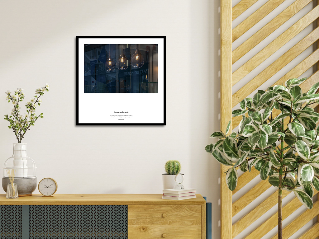 Comme un papillon de nuit – Image 4