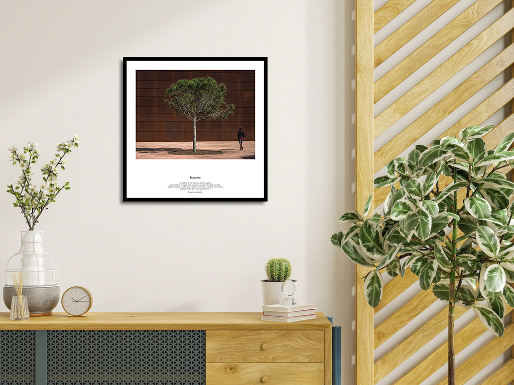 Excuse-nous – Image 4