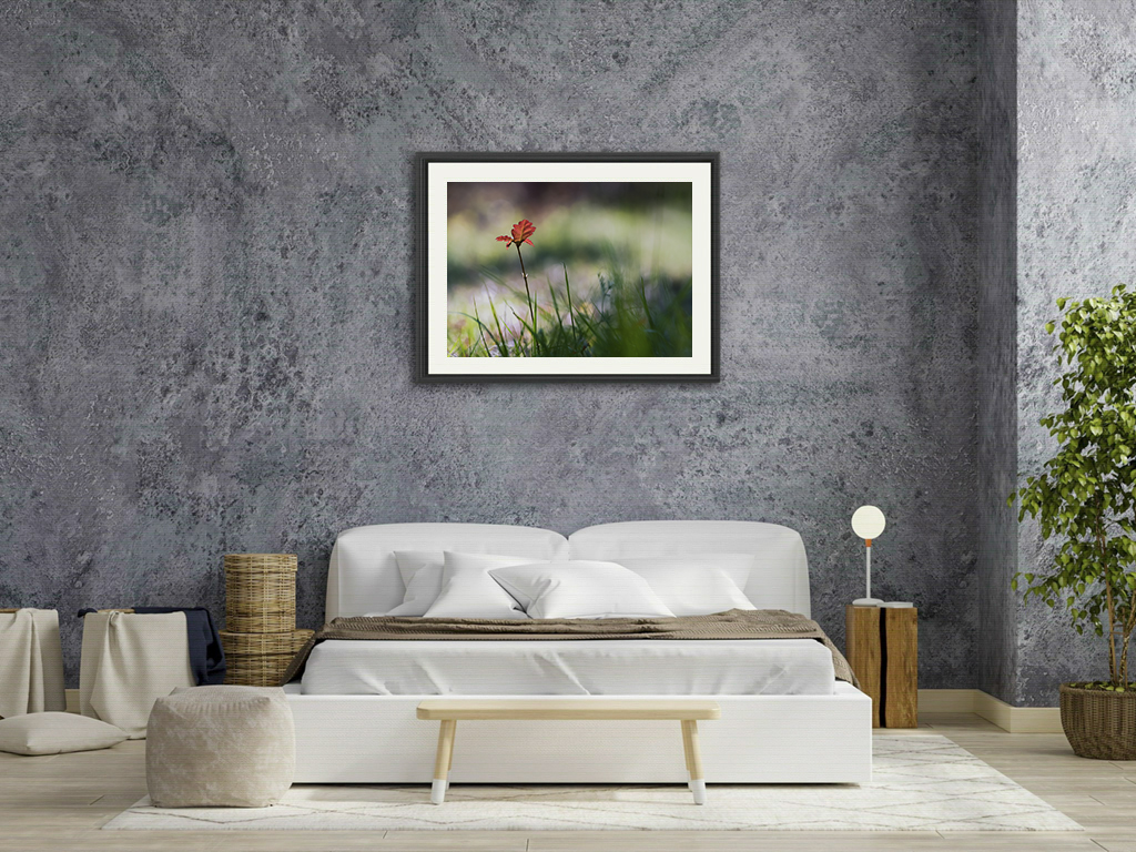 Fleur de chêne – Image 7