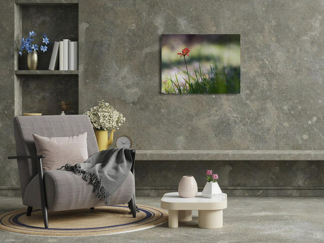 Fleur de chêne – Image 3