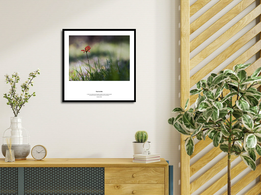 Fleur de chêne – Image 4