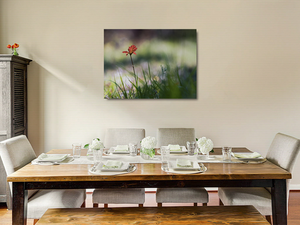 Fleur de chêne – Image 6