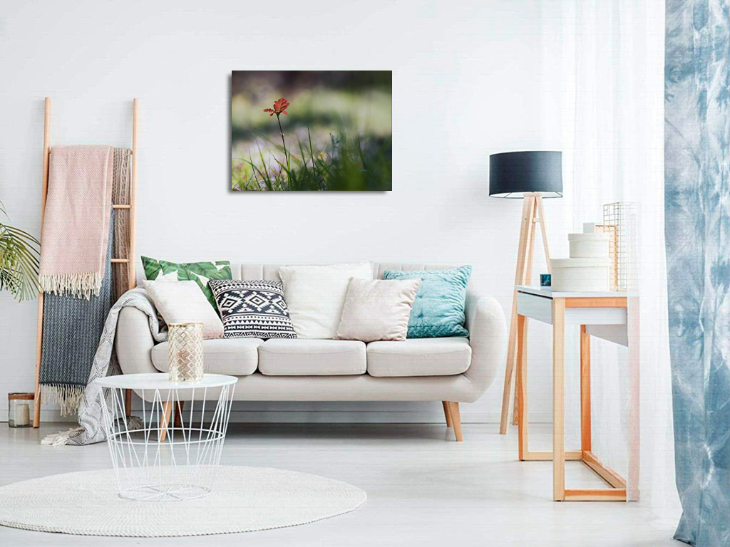 Fleur de chêne – Image 8