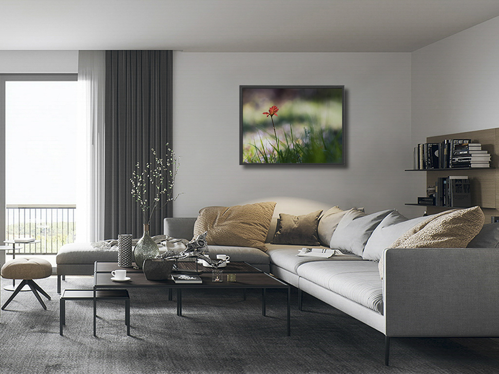 Fleur de chêne – Image 5