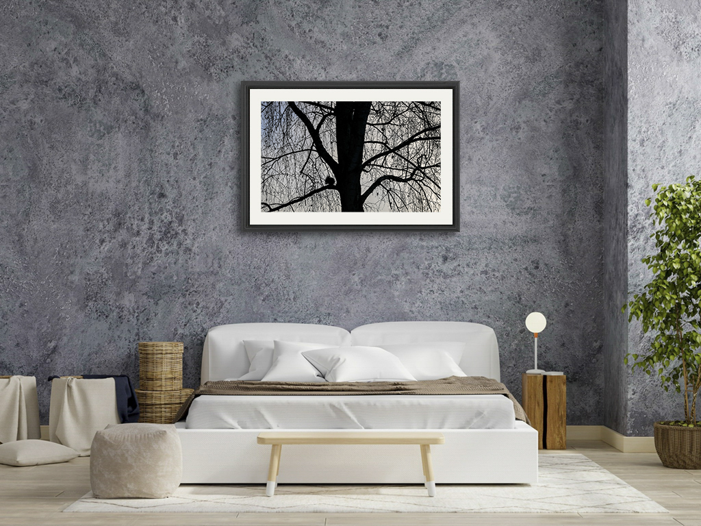 Grignoter un bout de paix – Image 7