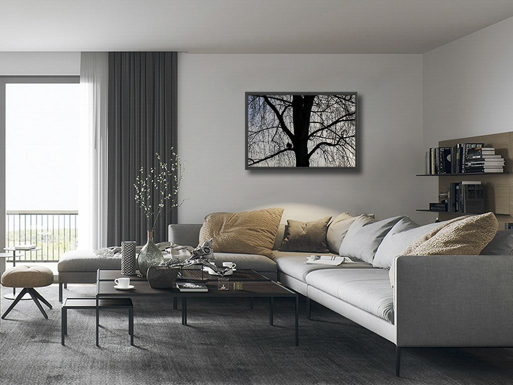 Grignoter un bout de paix – Image 5