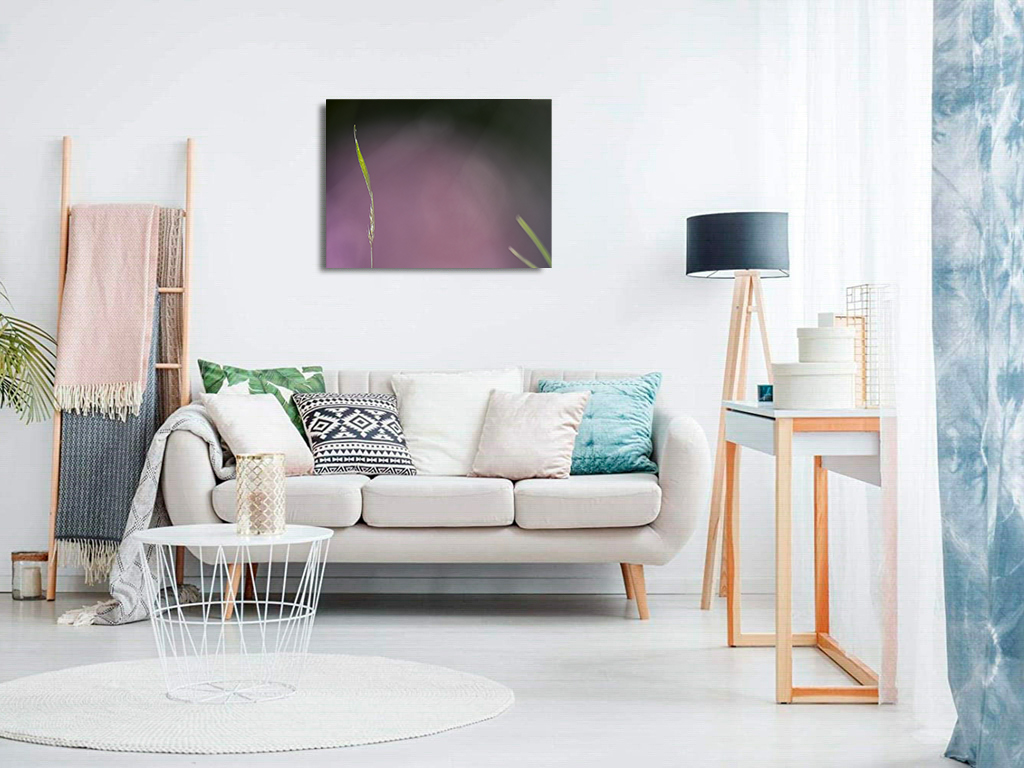 Il en pince pour elle – Image 8