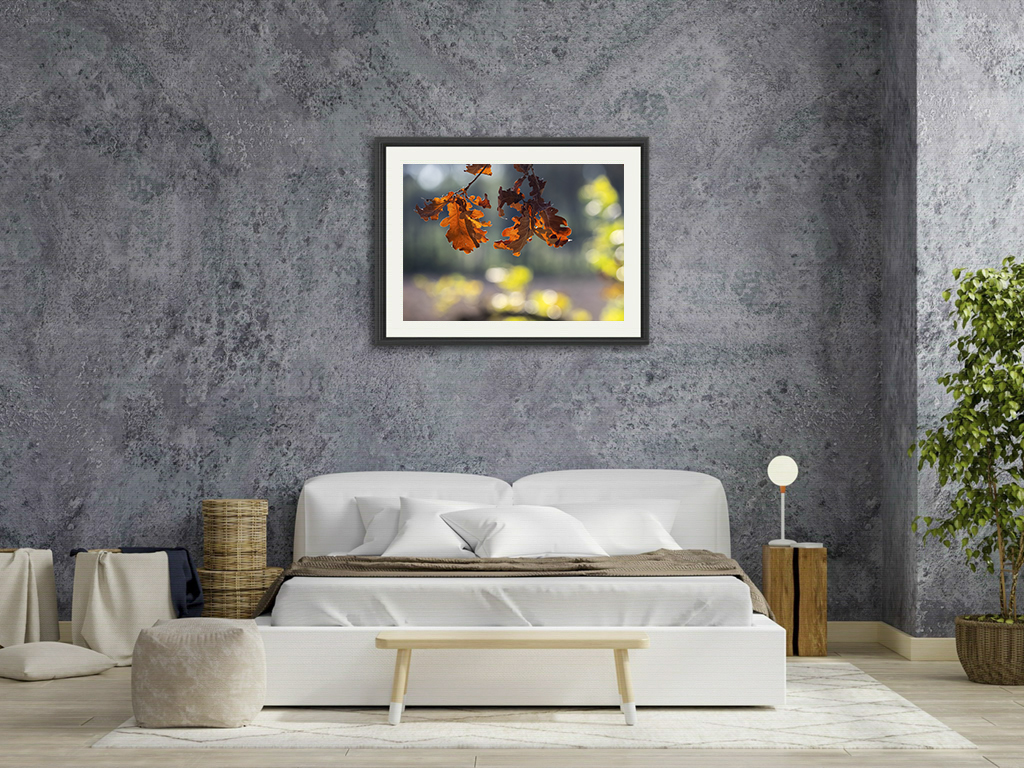 La danse de l'automne – Image 7