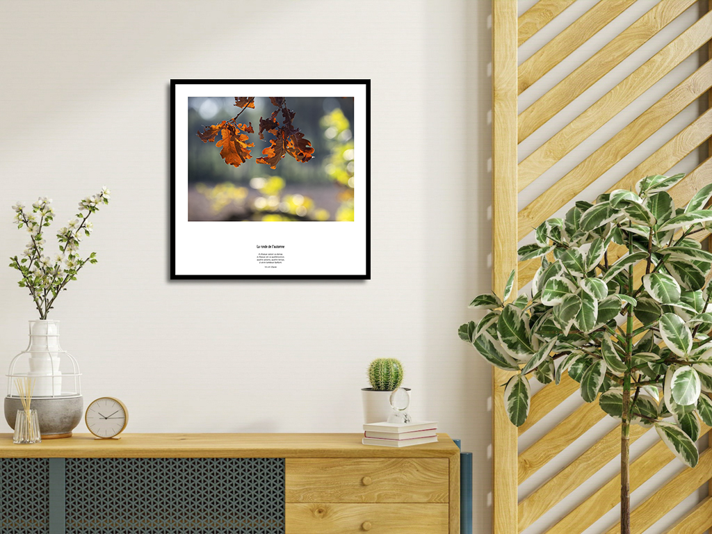 La danse de l'automne – Image 4