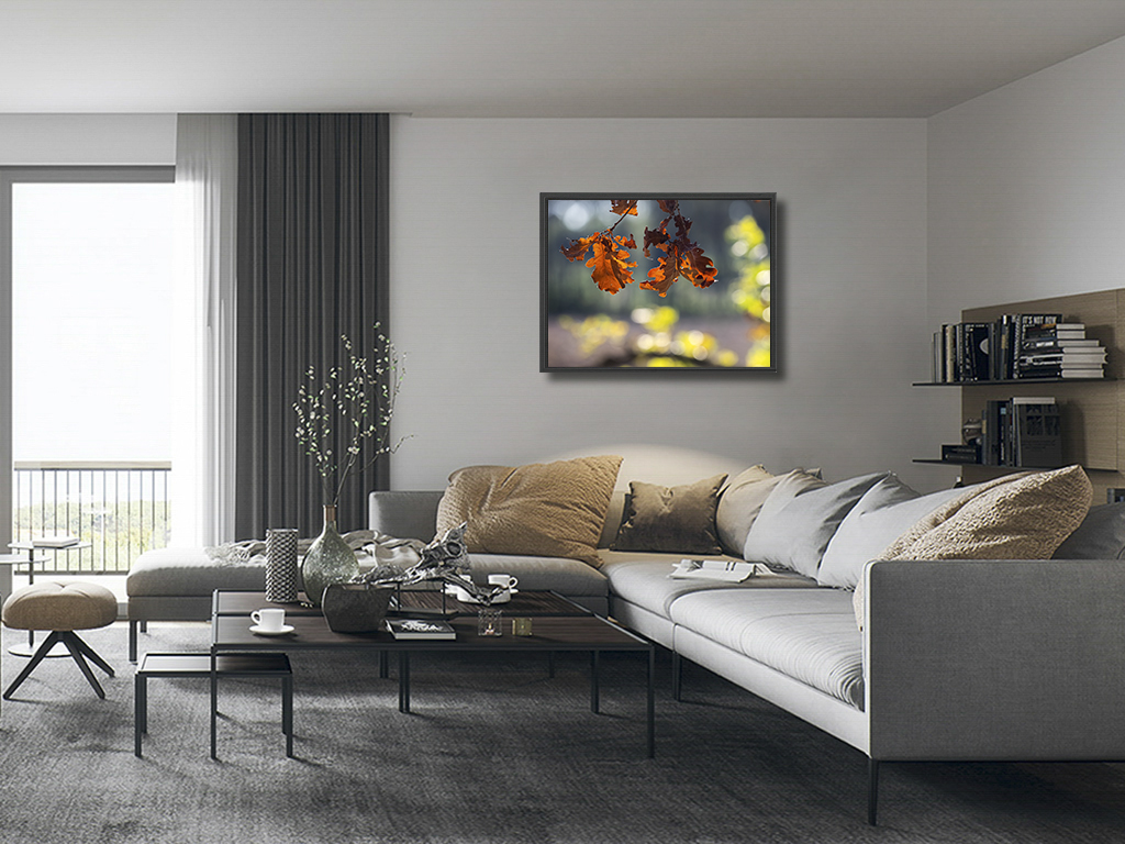 La danse de l'automne – Image 5