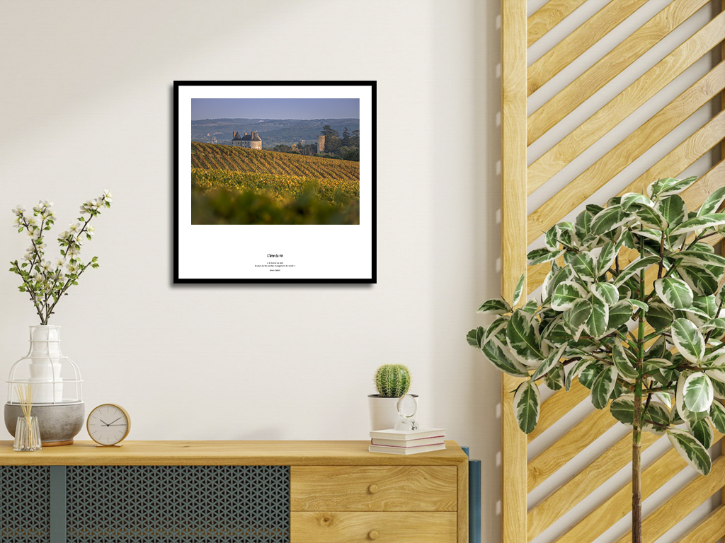 L'âme du vin – Image 4