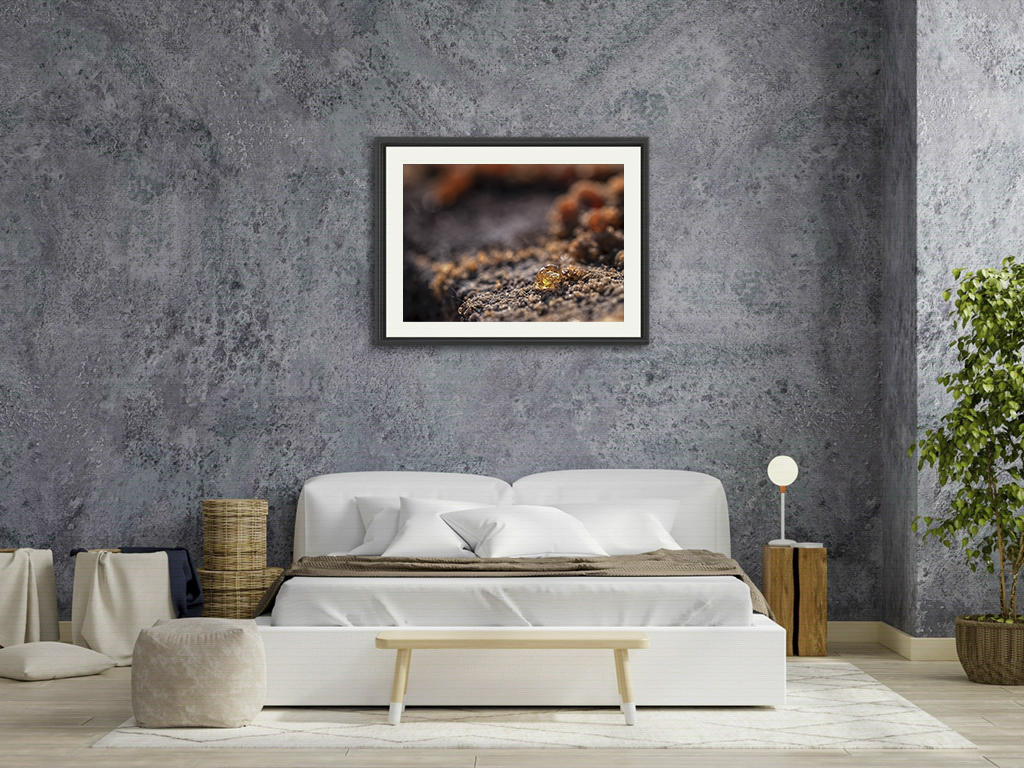 Larme d'or – Image 7