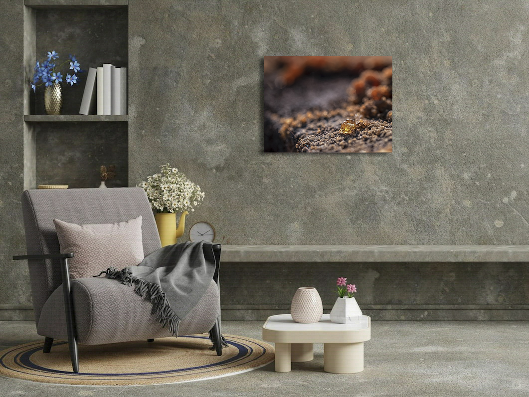 Larme d'or – Image 3