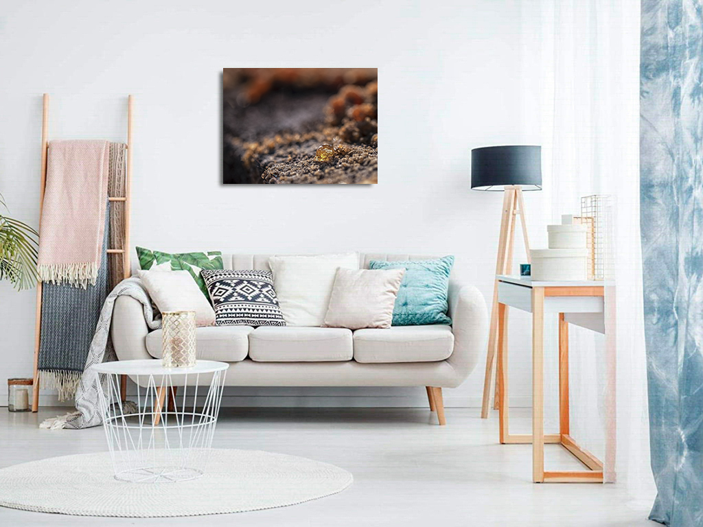 Larme d'or – Image 8