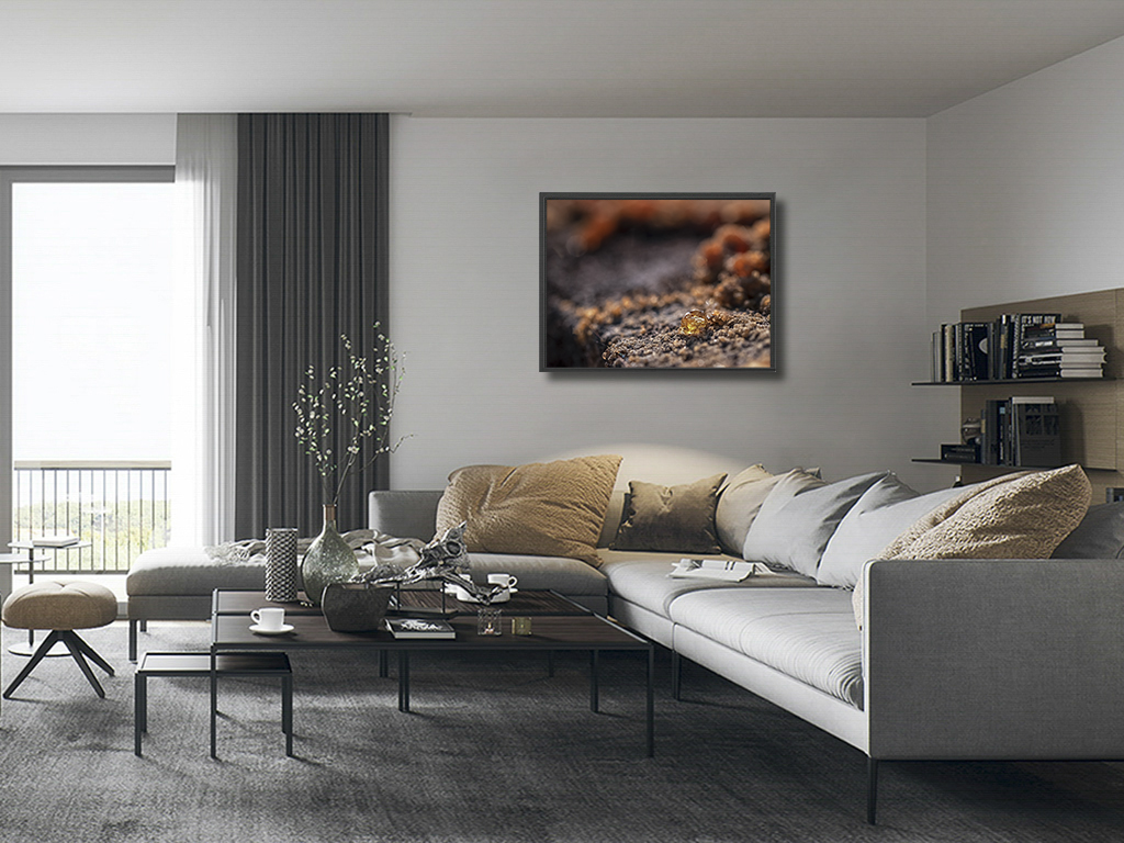 Larme d'or – Image 5