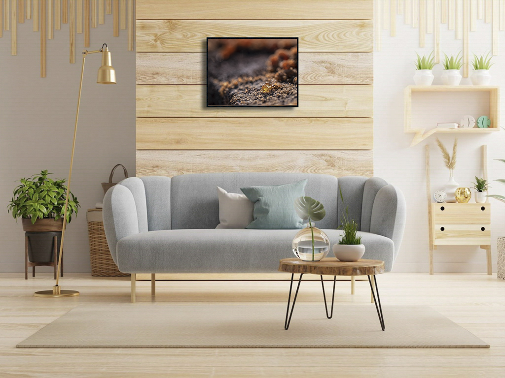 Larme d'or – Image 2