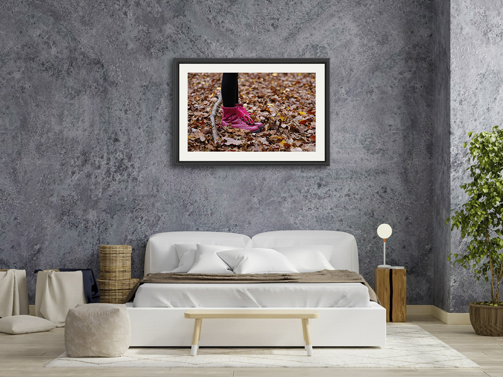 Le flamand rose – Image 7