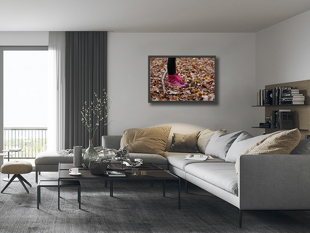 Le flamand rose – Image 5