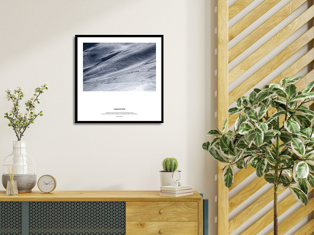 Le peuple des fourmis – Image 4