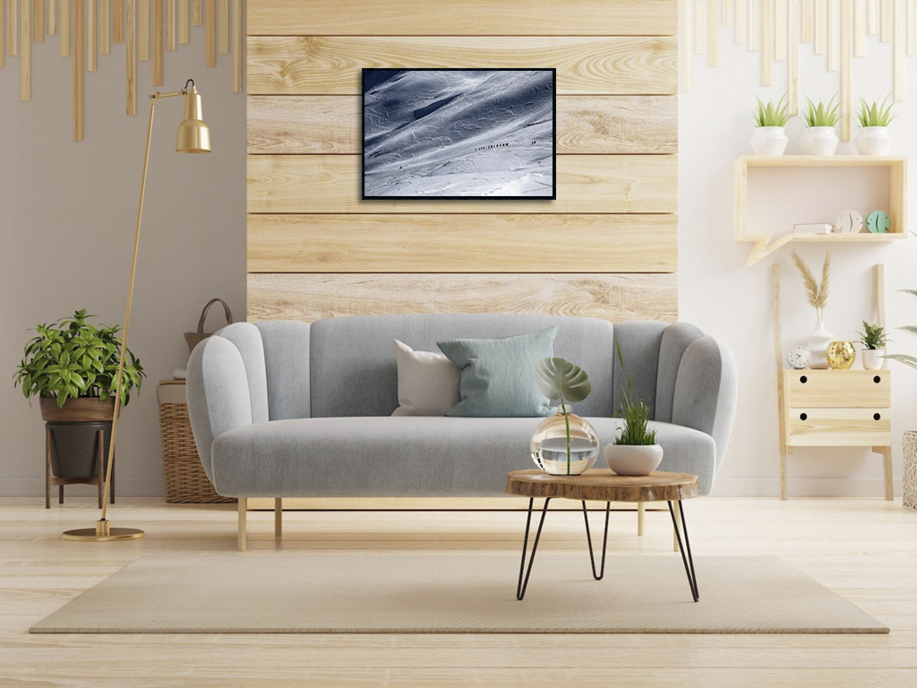 Le peuple des fourmis – Image 2