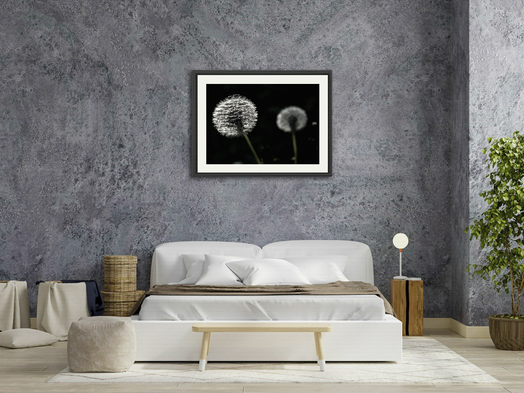 Les frères Polnareff – Image 7