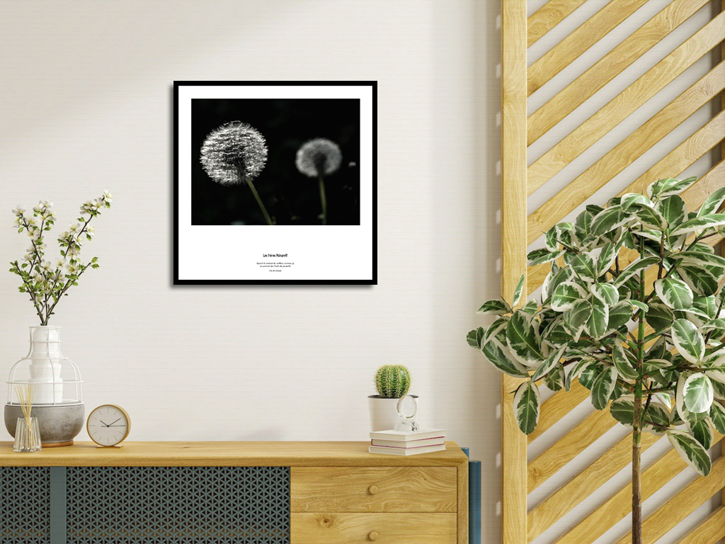 Les frères Polnareff – Image 4