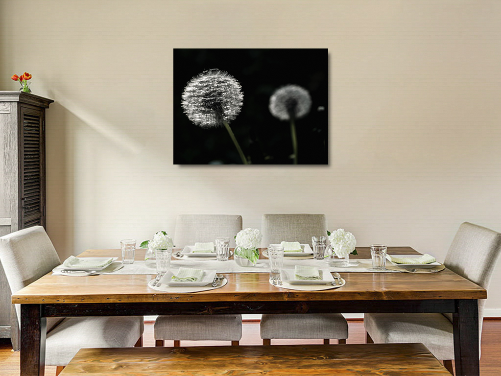 Les frères Polnareff – Image 6