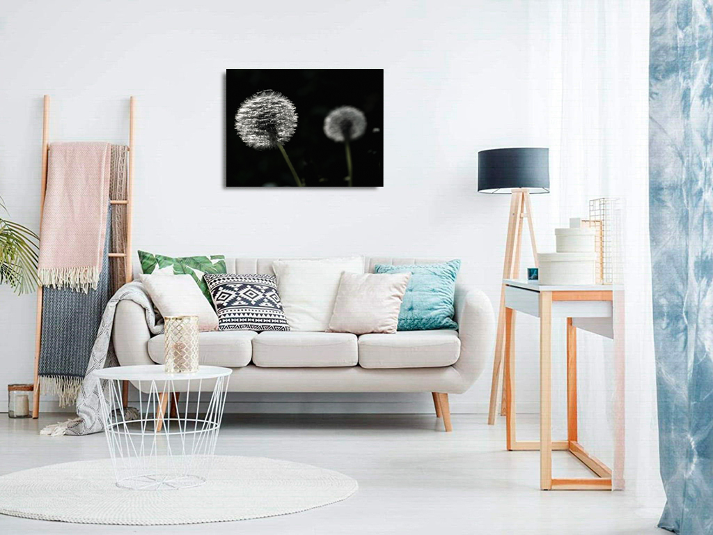 Les frères Polnareff – Image 8