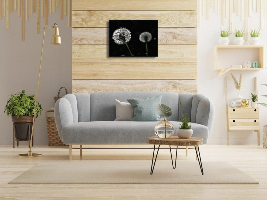 Les frères Polnareff – Image 2