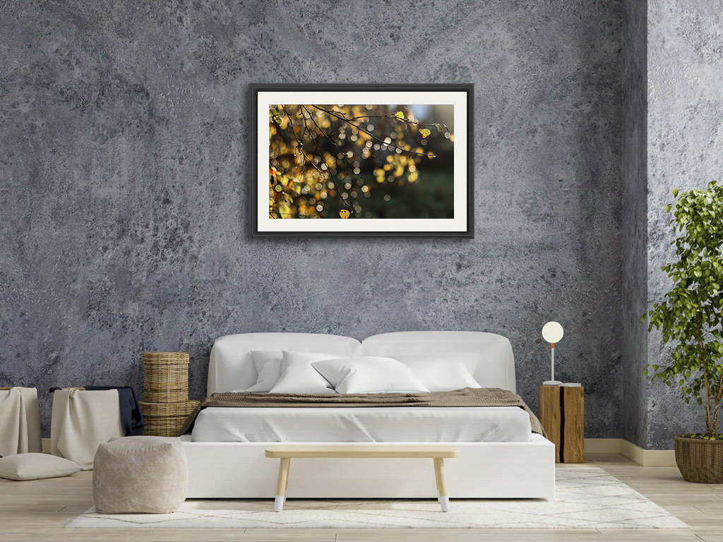 Mon sapin enchanteur – Image 7