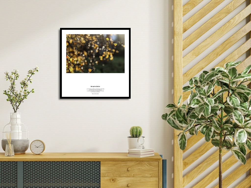 Mon sapin enchanteur – Image 4