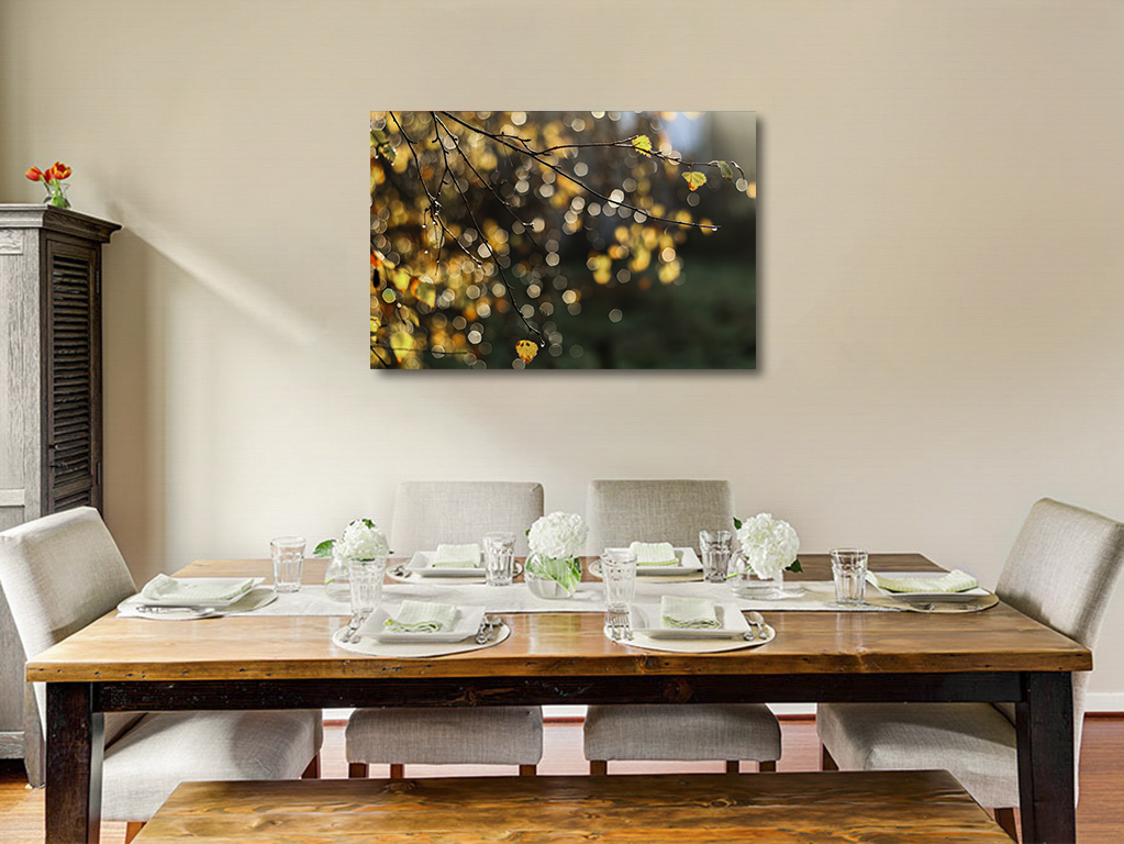 Mon sapin enchanteur – Image 6