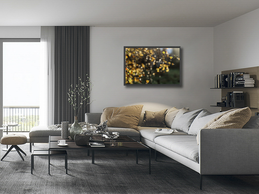 Mon sapin enchanteur – Image 5