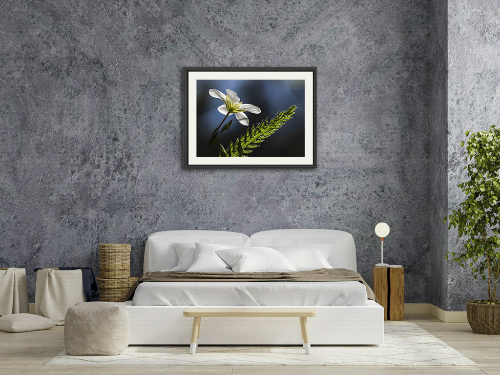 Nous irons ensemble illuminer la nuit – Image 7