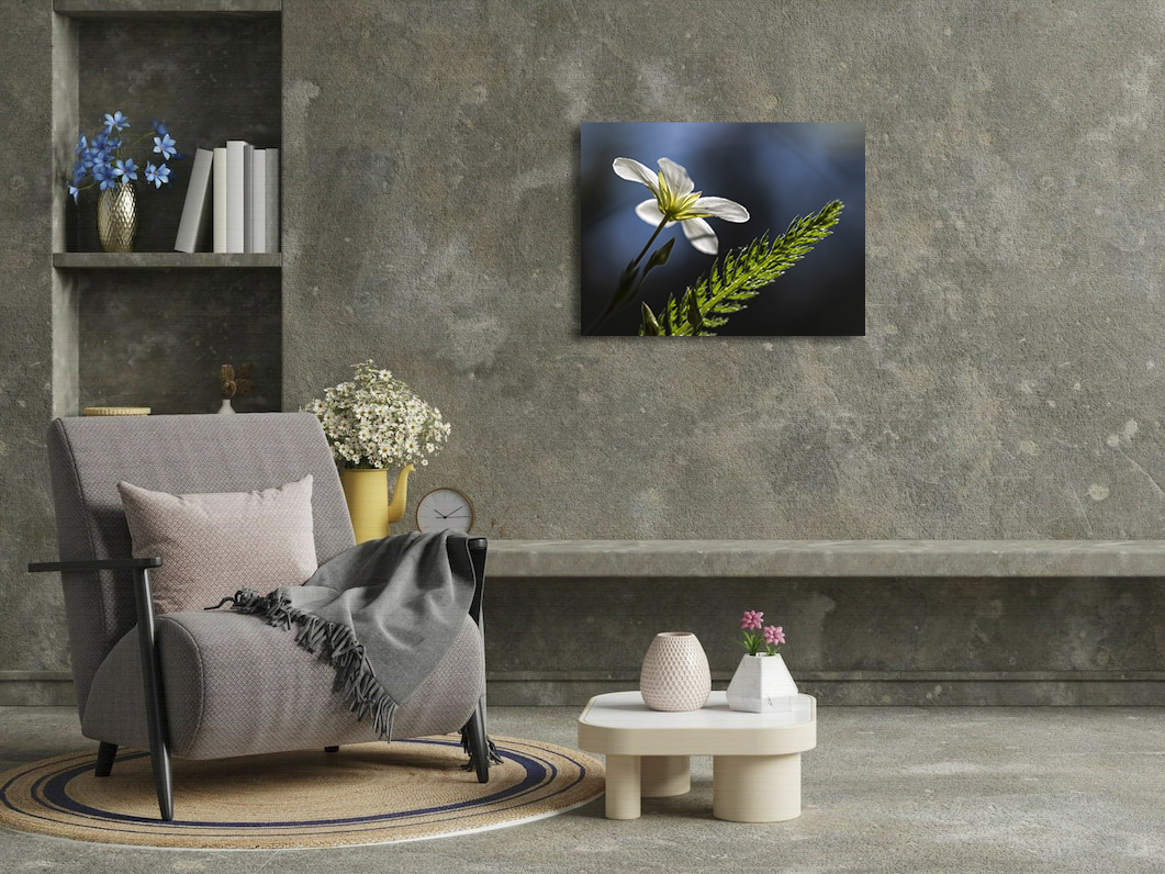 Nous irons ensemble illuminer la nuit – Image 3