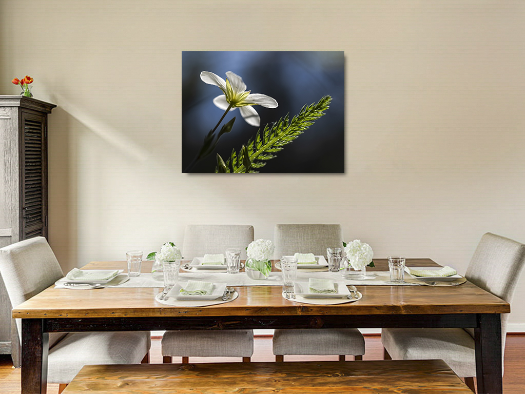 Nous irons ensemble illuminer la nuit – Image 6