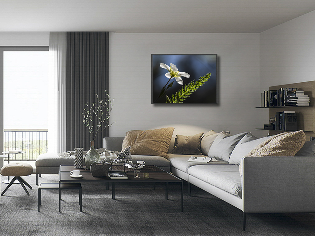 Nous irons ensemble illuminer la nuit – Image 5