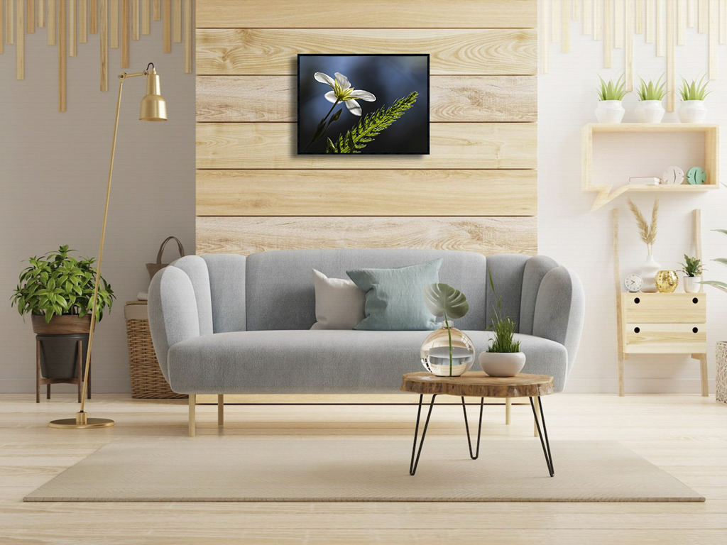 Nous irons ensemble illuminer la nuit – Image 2