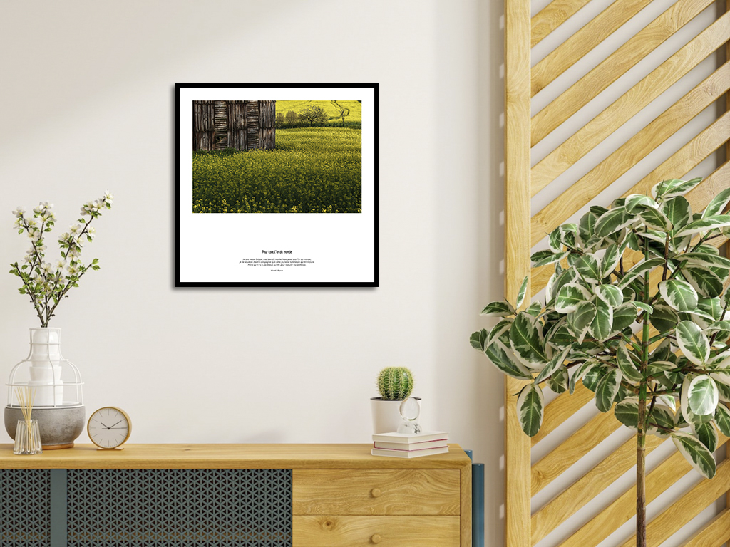 Pour tout l'or du monde – Image 4