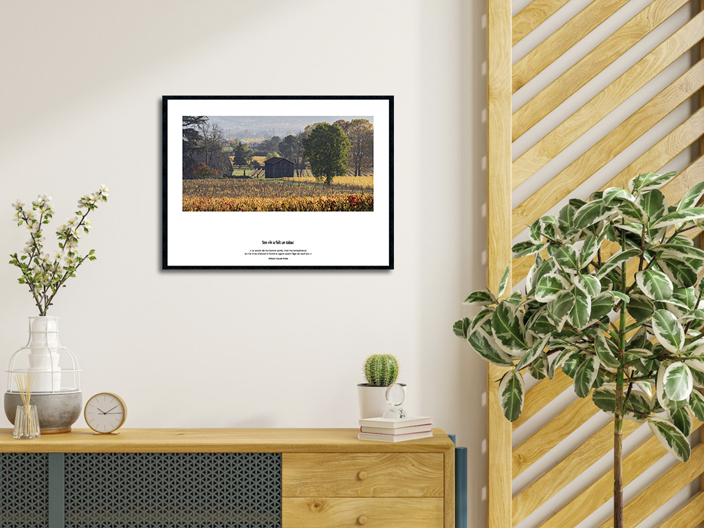 Son vin a fait un tabac – Image 4